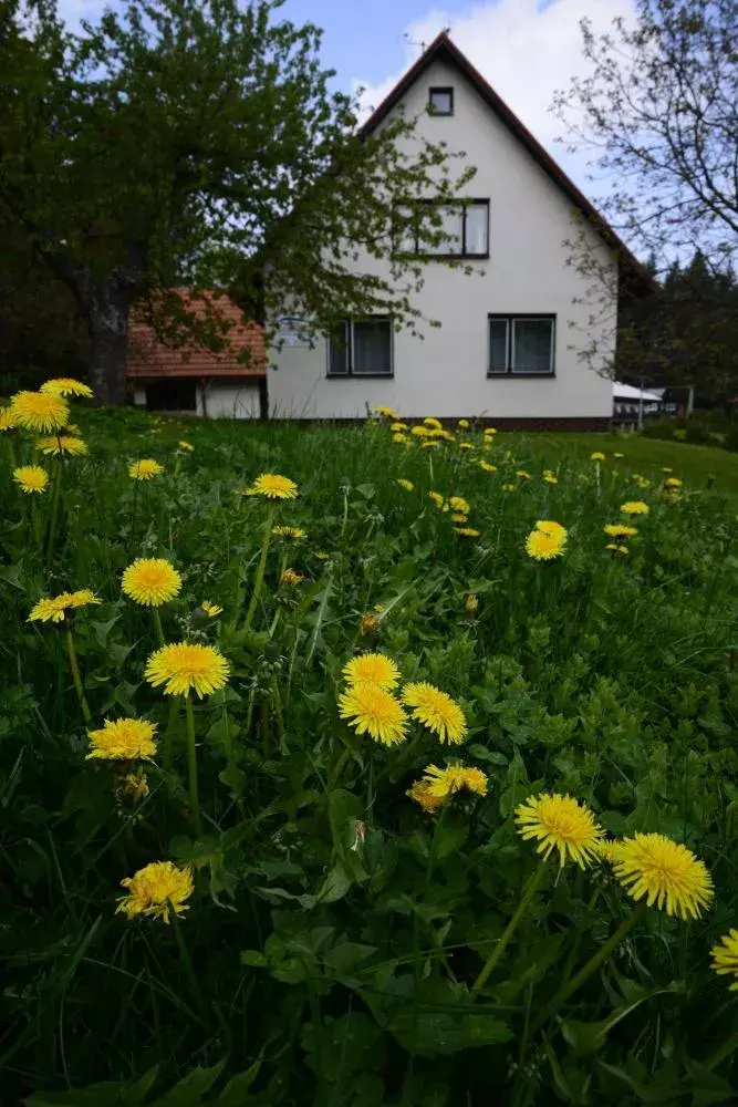 Photo 5 of Penzion Rališka